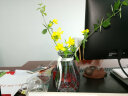神瓶八玻玻璃干花透明花瓶欧式水培绿萝植物客厅摆件百合插描口加高花瓶 水中花（18+15）烟灰组合 实拍图