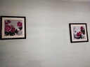 紫腾随轩新中式牡丹花开富贵装饰画客厅餐厅背景墙画卧室床头挂画壁画 图20 40*40cm红木色实木框 实拍图