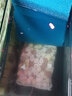 森森（SUNSUN） 鱼缸过滤材料水族滤材陶瓷环麦饭石玻璃环水族箱养鱼套装 （升级款）7合1滤材1000g袋装 含网袋 实拍图