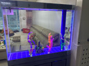 江彩鱼缸客厅大型水族箱落地隔断墙家用办公室底过滤超白玻璃鱼缸定制 1.2米加高（120x40x165cm） 实拍图