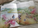 中国古典美文绘本2：桃花源记 选自中小学语文教材，经典文本以绘本形式呈现。让孩子提升阅读能力和写作能力，有助于提升语文综合素养，培养文学鉴赏能力 实拍图