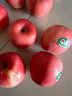 京鲜生 甘肃静宁红富士苹果12粒4.5斤果径75-80mm 水果礼盒 晒单实拍图