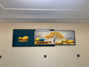 轩棠树客厅装饰画简约现代沙发背景墙装饰画玄关壁画北欧轻奢晶瓷画挂画 石来运转C款 60*160大50*160小=总长240晶瓷画 实拍图