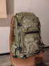 MYSTERY RANCH 神秘农场 城市户外休闲运动Blitz闪击战术登山通勤双肩背包军迷 30L 森林绿 S/M码 实拍图