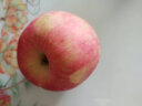 京鲜生 烟台红富士苹果12个礼盒装 净重2.6kg 单果190-240g 新鲜水果 晒单实拍图