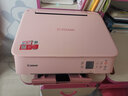 佳能（Canon） TS5380打印机家用喷墨连供彩色黑白家庭学生手机无线照片复印扫描一体机自动双面 套餐一【粉绿】主机+易加墨墨盒+墨水8瓶 实拍图