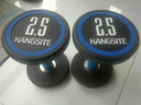 康斯特（KANGSITE）纯钢哑铃套装组合男士健身家用5kg/10kg健身房包胶一体式固定亚玲 PEV圆头哑铃(无味/耐磨/抗摔) 2.5KG 单只 实拍图