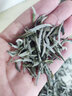 熙溪 福鼎白茶 白毫银针 2021太姥银针80g 老白茶茶叶散茶 实拍图