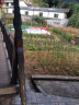 诺化小竹子细竹竿子棍菜园搭架旗竹杆架种菜豆角黄瓜架菜竹杆子 1厘米粗2米长30根 晒单实拍图