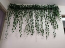 豫之韵假花藤条塑料绿植物花壁水管道装饰空调管遮挡吊顶装饰室内阳台 80片葡萄叶（1包12条）小而密 实拍图