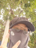 目丸冰丝防晒面罩男夏季新款脸基尼遮全脸罩护颈户外骑行男士透气口罩 雪山-灰【面罩+空顶帽】 实拍图