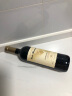ROJO MONTAURA西班牙拉曼恰DO原瓶进口红酒 红图乐飞鹰 干红葡萄酒 750ml 双支 实拍图