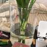 奇敬花瓶仿真花花瓶富贵竹水培玻璃花瓶玫瑰插花瓶客厅玄关餐厅摆件 （口径15cm 高25cm）耐热玻璃 玻璃花瓶 实拍图