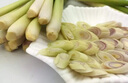 辰实香茅草【发顺丰】新鲜柠檬香茅香料菜 奶茶店泰国冬阴功汤原料 4斤香茅草【顺丰快递】 实拍图