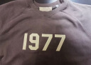 TX FOG潮牌短袖ESSENTIALS第八季复线1977植绒刺绣短袖男女同款高街T恤 铁灰色 XL适合190-230斤 晒单实拍图