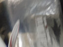 GENIOLAMODE白t恤男女短袖男款夏季衣服宽松纯棉中性风学生简约打底半袖男生 白色(呆呆猫胸标) L (175) 实拍图