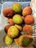 京臻峙果冷冻荔枝液氮锁鲜 广东老树荔枝新鲜应季 水果礼盒 3斤装（精选大果） 实拍图