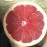 十记庄园 南非西柚6个 进口红心红肉葡萄柚红宝石柚子新鲜水果 实拍图