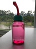 台湾artiart创意水瓶便携水杯防漏活力瓶带过滤随手杯运动水杯 粉红色360ml 晒单实拍图