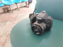 佳能（Canon） EOS 850d数码单反相机 4K高清拍摄vlog 850D入门级高端照相机 850D机身/拆机身【不含镜头 建议购买套装】 套餐一【含64G卡 相机包 799电池大礼包等】 晒单实拍图