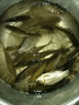川泽伊豆绑好子线双钩成品鱼钩套装金海夕仕挂鲫鲤鱼翘嘴小鱼钩鳊鱼钩 伊豆60CM【钩9线3.0+钩10线3.0】 各10付【共20付盒装】 实拍图