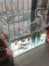 宝贝故事（BABY STORY）金晶五线超白鱼缸生态鱼缸 桌面定制鱼缸客厅家用水草缸大乌龟缸 60*45*45（8mm）超白鱼缸现货款 实拍图