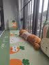 简尚日记（JIANSHANGRIJI） 双面飘窗垫窗台垫四季通用竹席坐垫定做阳台垫可拆洗2026新款 萌萌兔【提供尺寸 客服报价】 实拍图