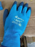 登升303防冻手套防寒零下30度加绒保暖耐低温蓝色10付 实拍图