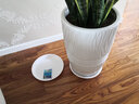 千芳阁 新款加厚花盆托盘圆形塑料环保树脂接水盘盆托花盘底盘底座 瓷白T-4 实拍图