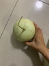 蔬农联 玉菇甜瓜冰淇淋香瓜甜瓜当季新鲜水果现摘现发礼盒2025 优选5斤装（净重4.5斤） 实拍图