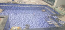华欣硕仿马赛克瓷砖陶瓷蓝色游泳池水浴池鱼池温泉泡池扇形鹅软石墙地砖 48浅三色蓝泳池瓷砖款-免填缝 30*30CM 晒单实拍图