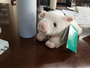 雅德森 粉色趴趴猪公仔玩偶 猪年公仔仿真小猪毛绒玩具 幸运猪摆件 猪年吉祥物 23cm 实拍图