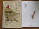 爱阅读：巴黎圣母院 《语文》推荐名著课外阅读 维克多·雨果 实拍图