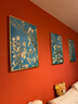 MONADIY客厅装饰画沙发背景墙三联画现代简约山水风景壁画卧室餐厅挂画 09 梵高杏花（三幅组合） 拉丝银框 50*70cm PS框+油布 实拍图