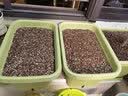 爱丽思花盆塑料花盆特大号树脂种菜蔬菜水果种植盆加厚带排水孔 500 实拍图