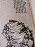 芥子园画谱 白话文版无删减芥子园画传王概著巢勋临本国画临摹画册山石画谱工笔画技法写意画入门工具教程书 实拍图
