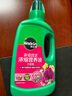 美乐棵植物营养液磷酸二氢钾花肥兰花月季水培花卉绿植发财树营养液肥料 兰花型500ml 实拍图