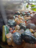 朴彩（PUCAI）南京雨花石原石天然石子鱼缸石头花盆彩色石子玛瑙鹅卵石 精品雨花石3-5cm1斤约13颗 实拍图