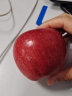 佳农 云南昭通红玫瑰苹果 净重2.3kg 丑苹果12-15粒礼盒装 新鲜水果 晒单实拍图