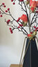 瑞家禾 现代创意轻奢花瓶摆件客厅玄关桌面插干花电视柜餐桌家居装饰品 小号花瓶+红红火火 实拍图