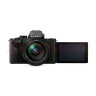松下（Panasonic）G100M微单相机 数码相机 vlog相机 微单套机（12-60mm）4K视频 专业收音 美肤自拍 触摸屏 实拍图