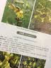 内蒙古维管植物图鉴 双子叶植物卷 晒单实拍图