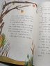 中华品格童话故事 彩色的瀑布（人教版） 实拍图
