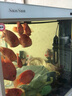 森森（SUNSUN）龙鱼缸加热棒自动恒温变频省电加温棒水族箱加温器变频数显 升级款热循环1000W（实时功率显示） 实拍图