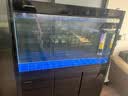 闽江（minjiang）鱼缸水族箱免换水生态造景客厅屏风中大型玻璃龙鱼缸观赏鱼家用 黑色（礼包+升级过滤） 长120*宽30*高144（缸体+储物柜） 实拍图