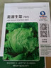 种菜记 蔬菜种子大全快菜生菜鸡毛菜种籽四季南方小青菜春季阳台蔬菜孑 结球生菜种子200粒 实拍图
