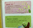 好奇宝宝科学绘本（套装共8册）/学龄前儿童趣味科普图书，优秀科普百科，中国科普作家协会推荐。 儿童年货节送礼 实拍图