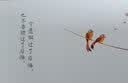 鲁豫有约之码字儿 实拍图
