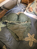 KJ内衣套装女聚拢无钢圈文胸上托性感调整型胸罩收副乳防下垂小胸 绿色含内裤 85B 实拍图