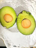 香果颜牛油果水果   新鲜应当季水果  送礼精选   精选大果10个装单果约190-220g 实拍图